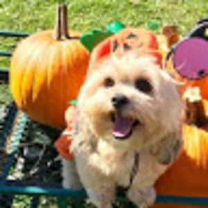 Meet your Posher, Kari